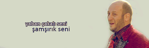 ismail-abi-2.gif