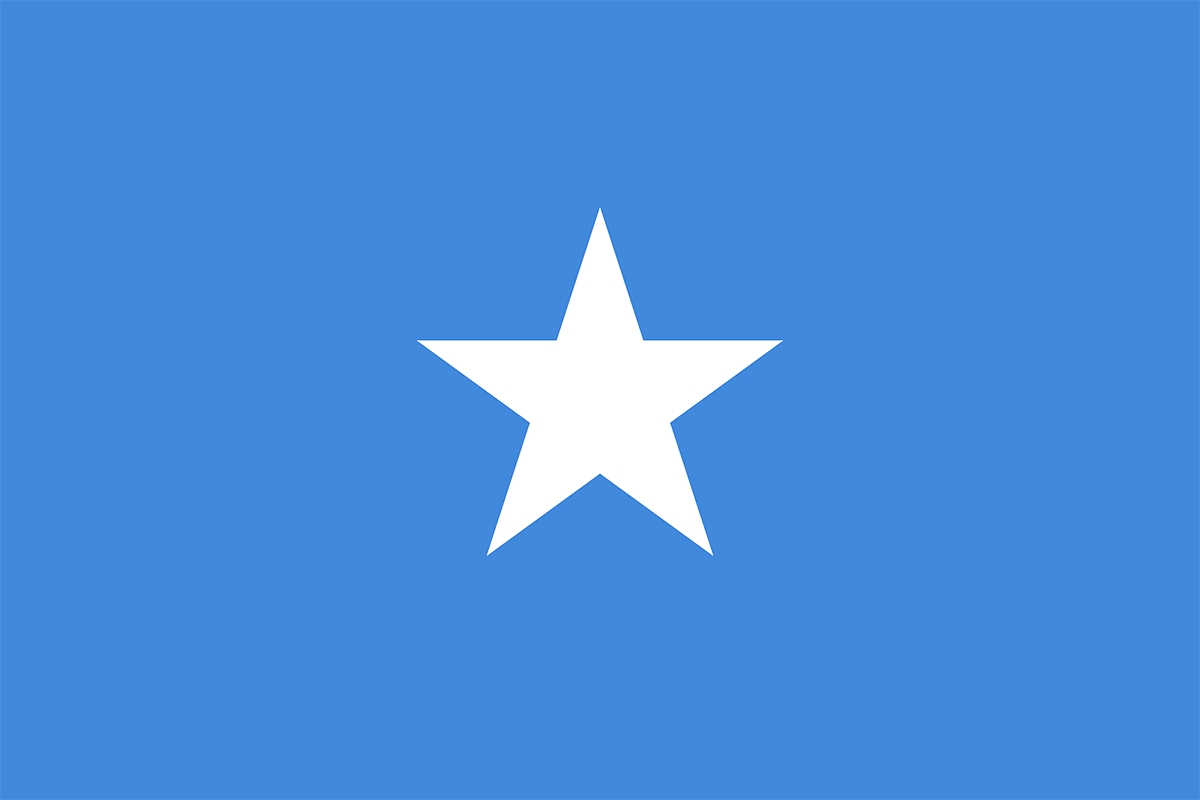 Somali bayrağı