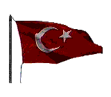 turkbayrak3.gif